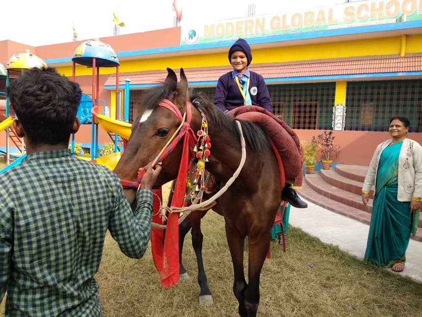 Horse Riding Activity